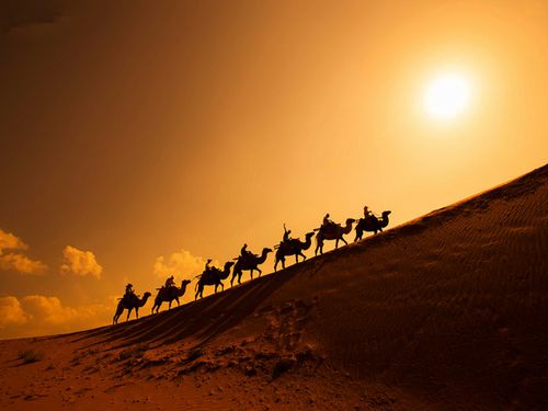  宁夏沙坡头-沙湖-贺兰山-塔尔寺-金银滩-青海湖双飞6