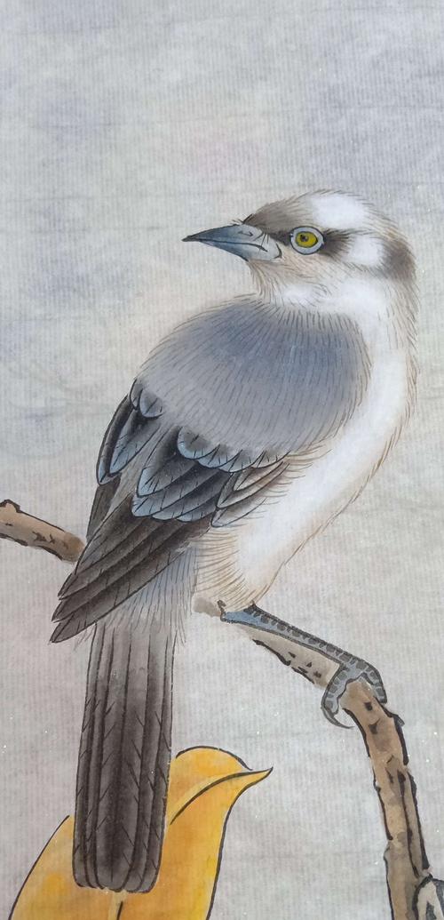 鹎鸟和白头鸟 工笔画