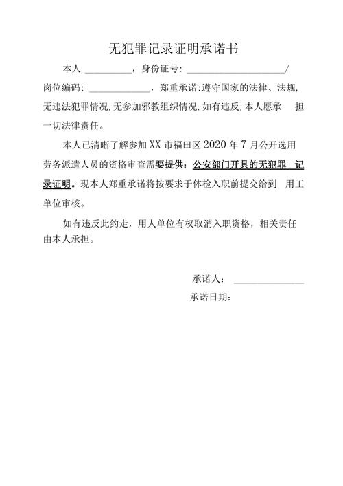 无犯罪记录证明承诺书