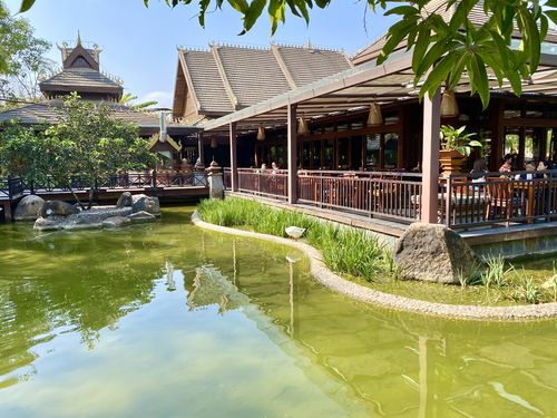 【冬季里的热带雨林】西双版纳洲际度假酒店