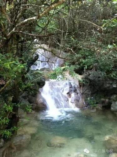 海丰西坑林场:风景秀丽,天然氧吧!周末走一个