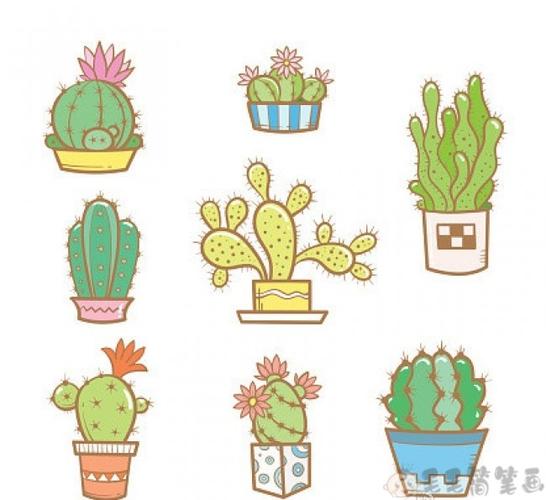 漂亮的彩色仙人掌简笔画组图