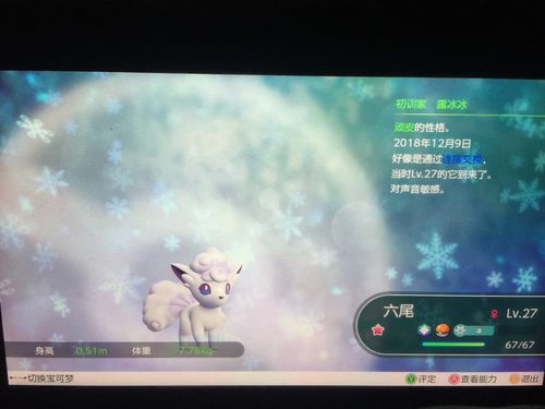 终于出闪冰六尾了