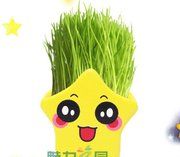 长草娃娃