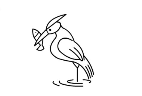 动物简笔画,鸬鹚的简单画法