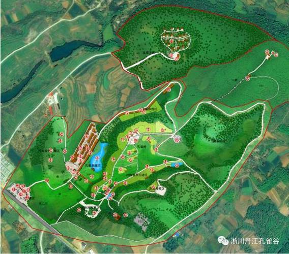 过年去那儿玩淅川孔雀谷呀又近又便宜还好玩呢