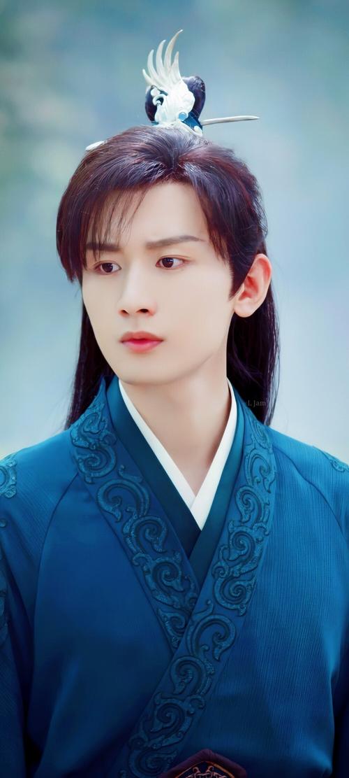 电视剧琉璃|禹司凤|成毅