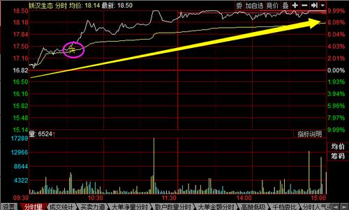 实战案例:铁汉生态,level-2云端版分时突破概念今日上午发出突信号