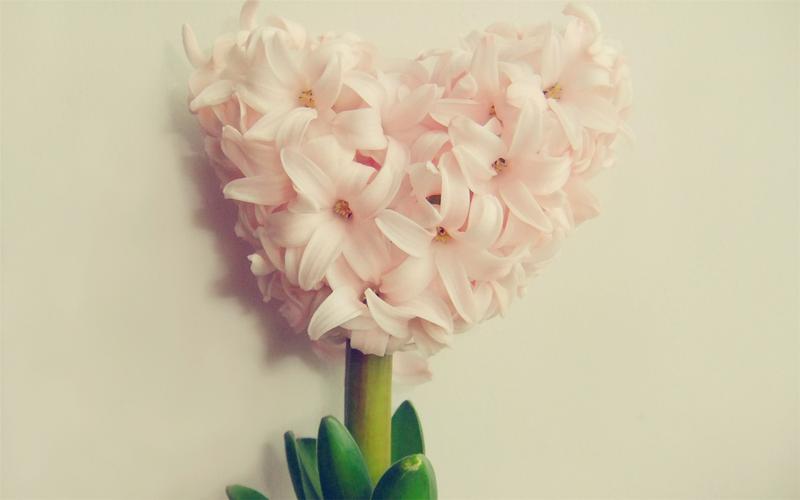 电脑桌面壁纸高清全屏唯美图片