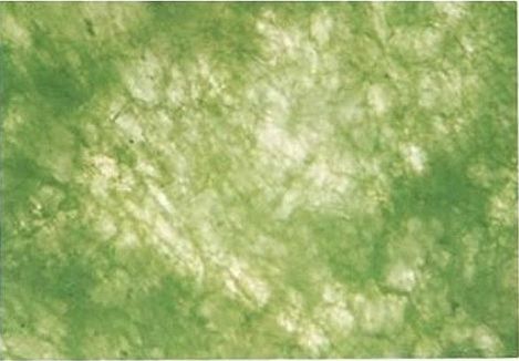 上图为c货翡翠,染色翡翠放大观察