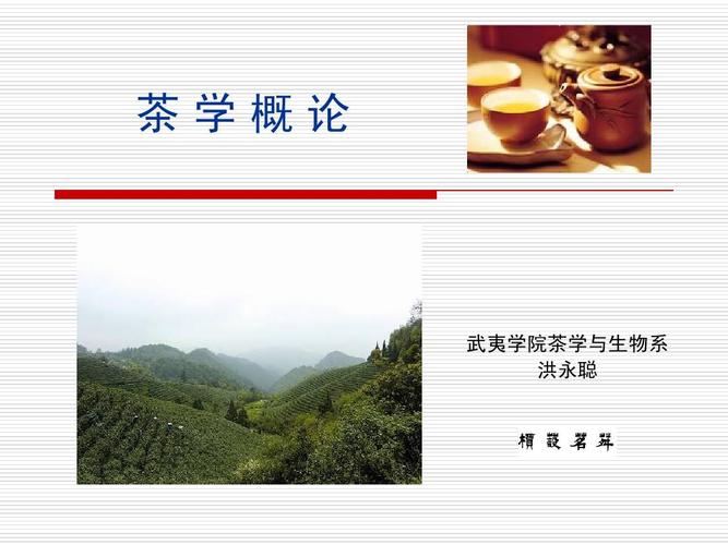 茶学概论ppt