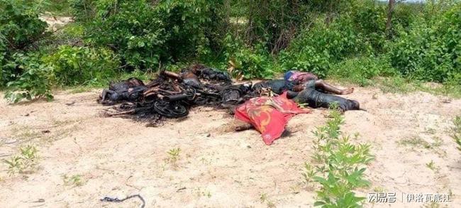 缅甸影子政府向联合国安理会报告军政府屠杀平民