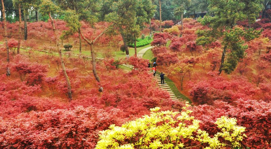 贵阳乌当新堡枫叶谷
