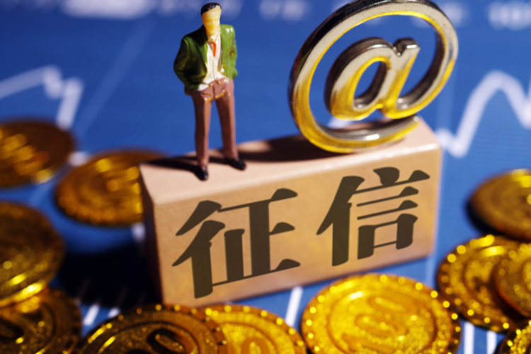 新生入场企业征信战局再变