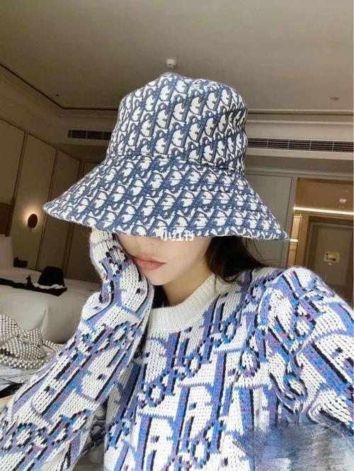 dior迪奥cd 20fw满印提花毛衣  模特上身图_dior迪奥