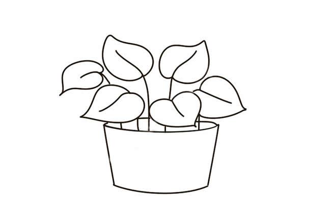 绿萝彩色最简单简笔画