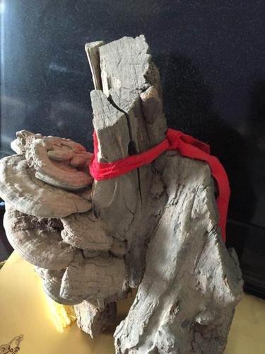 纯天然桃木灵芝