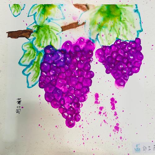 酒精晕染葡萄
