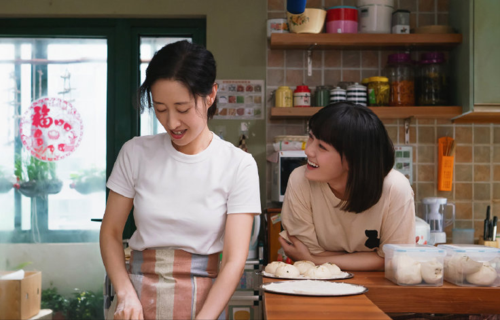 如果没有刘敏涛,文淇,凭《生活家》的剧情,应该是标准