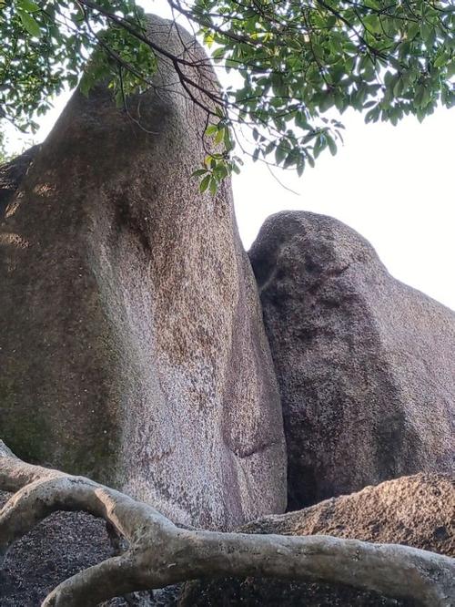 深圳凤凰山森林公园,在半山腰有座凤岩古庙,香火旺盛