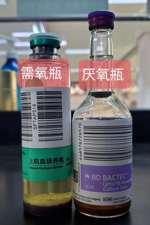 血培养采集要点