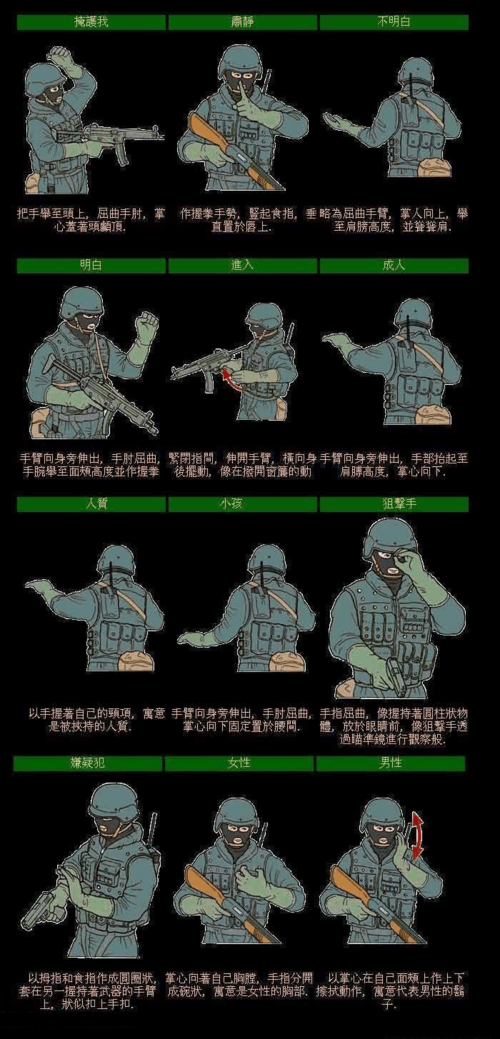 你可能喜欢 军事战术 特种部队手语 枪械大全 狙击战术 战术基础动作
