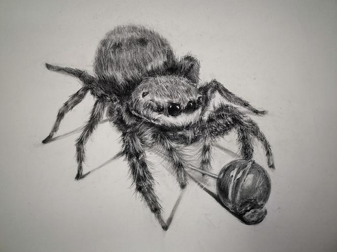 蜘蛛|纯艺术|绘画|籽蜂 - 原创作品 - 站酷 (zcool)