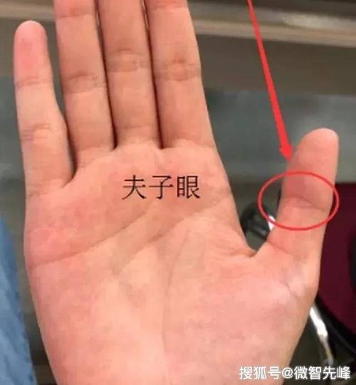 手相有夫子眼是好还是不好呢?快来了解一下吧!_手机