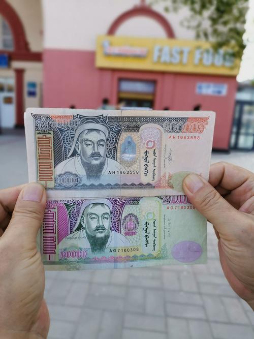 蒙古国的货币,蒙图.