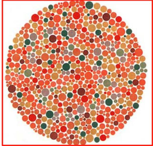 67车管所色盲测试若看出来图4那你基本告别驾驶证了