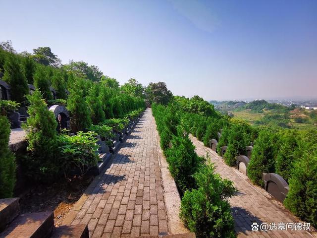 重庆九龙坡含谷龙台山陵园龙台山公墓园区实景图