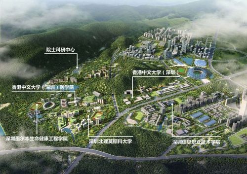 龙岗大运利联拆迁指标房龙岗外国语学位世茂深港国际科技城商圈!