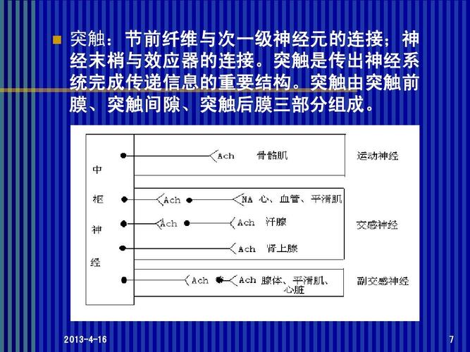 5传出神经系统概论ppt