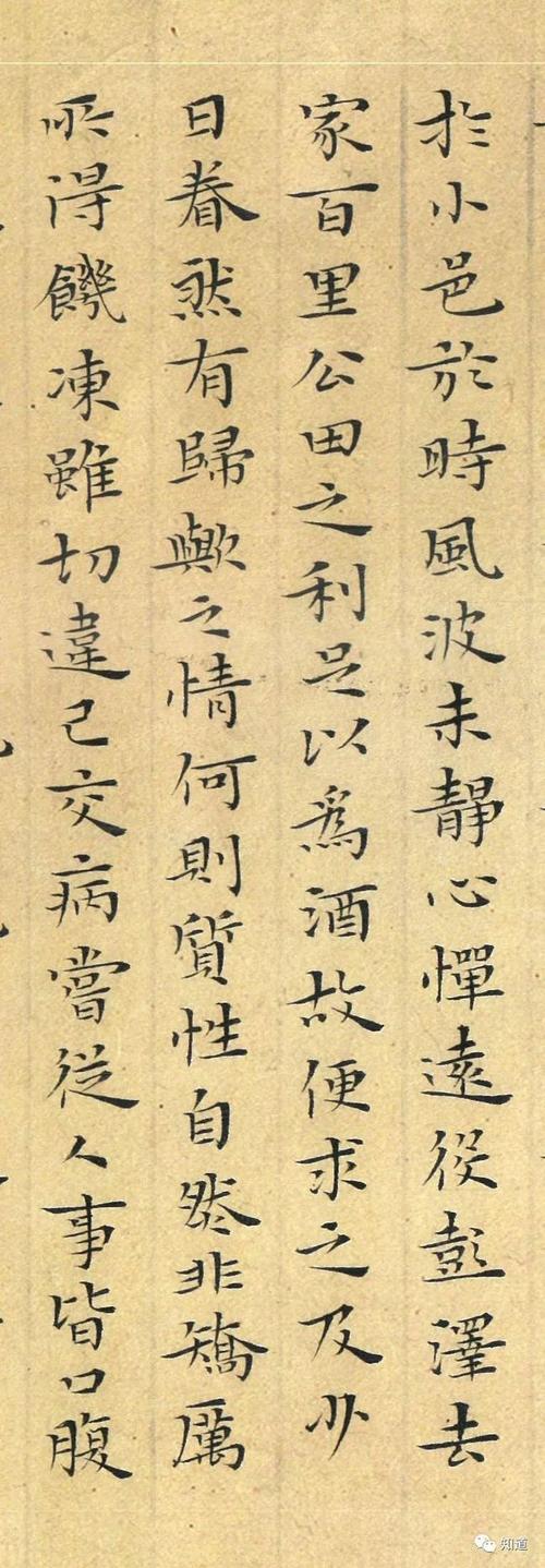 知道书画|杨文彪小楷《归去来兮辞》并序