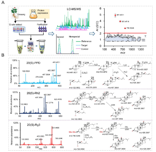 figure   通过亲和质谱法对ras蛋白活性配体的鉴定