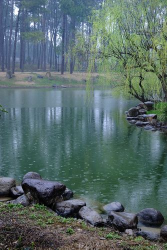 江南春雨---安吉行之二_风景_poco摄影,风景,旅游,安吉