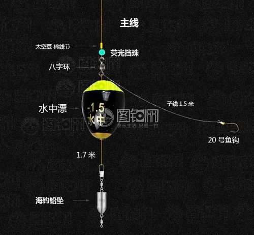 近岸海水比较浑浊,利用渔船舟船出海钓是深海钓鱼常用的工具,船钓鲈鱼