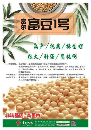 富豆一号,引领大豆产业新趋势的划时代品种!
