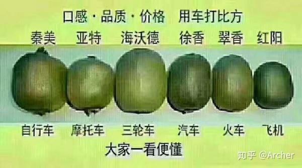 为什么奇异果和猕猴桃本是一家,价格却有这么大差别?