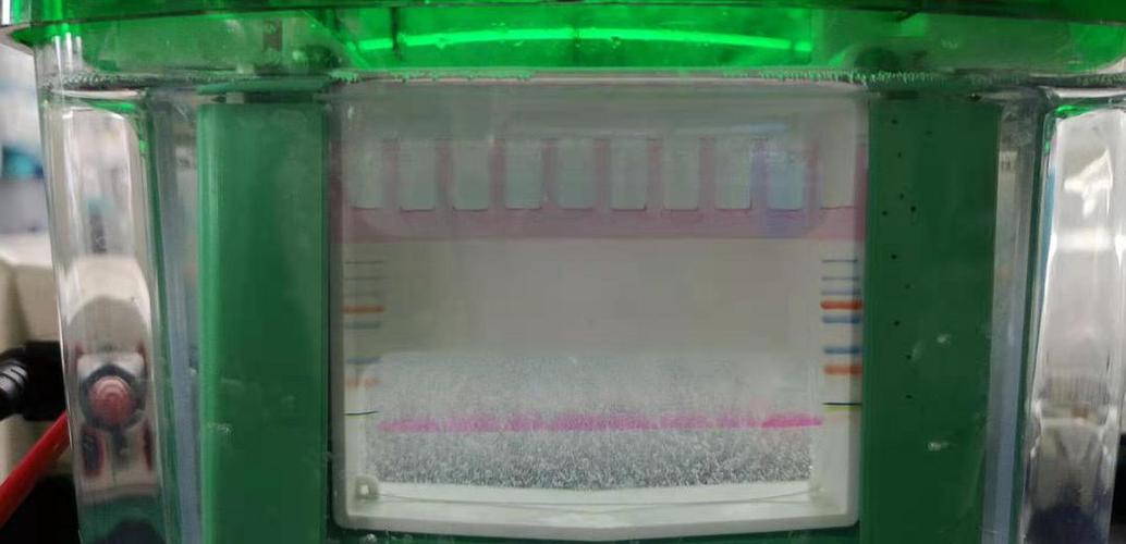 一天师兄正在跑wb(wb的步骤简单概括就是:配胶,上样,跑电泳)去年7月份