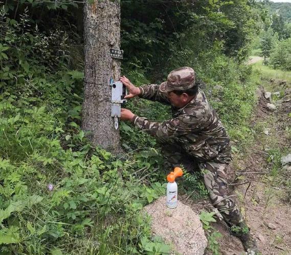 龙江森工集团王道辉:护林员38年守护绿色山林