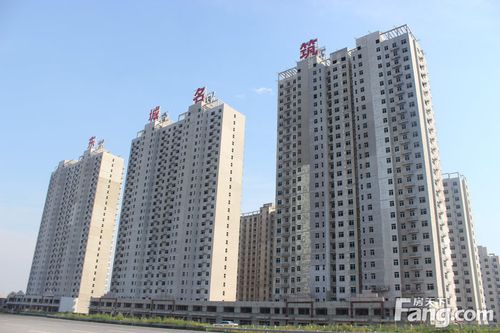 "单身鬼"自觉过来围观 美女 大奖距离你只有两天了_房产资讯-保定房