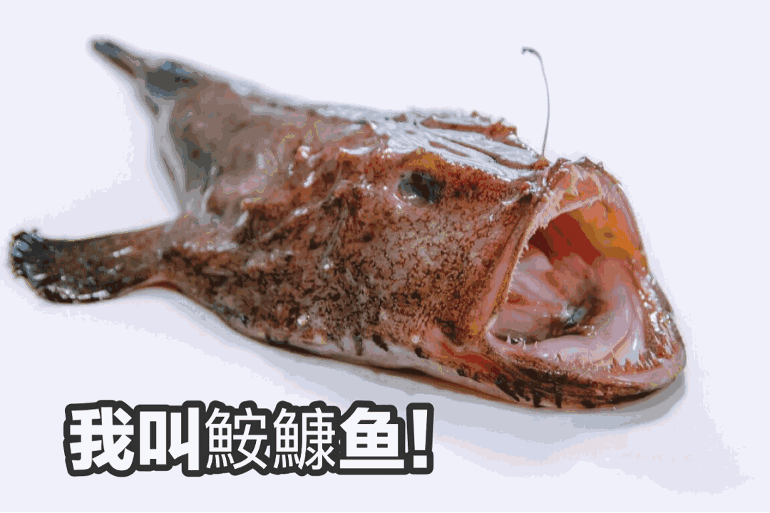 原创美国核泄漏被卫星抓个正着!海滩惊现"怪兽鱼",与核废水有关?