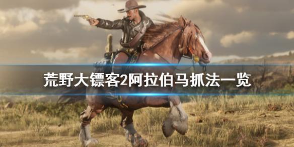 荒野大镖客2阿拉伯马抓法一览