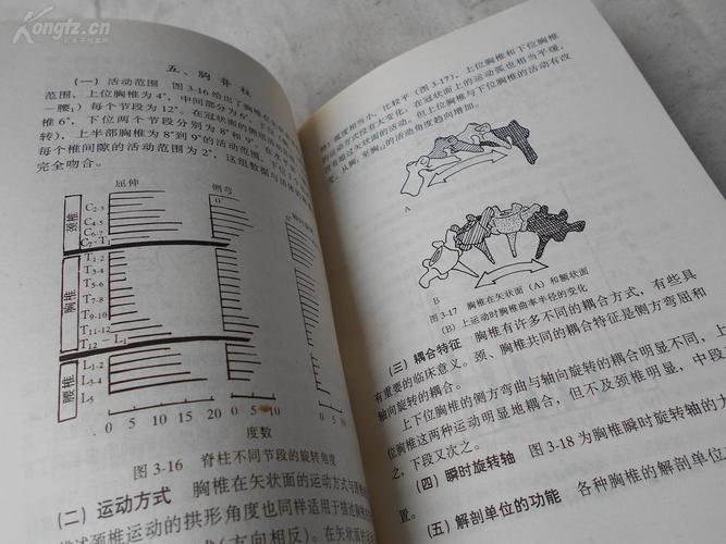灵枢本脏篇曰视其外应以知其内脏则知所病矣特别是华佗夹脊理论的创立