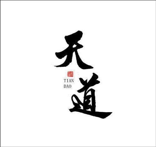 天道懂得很多道理却仍然过不好这一生为什么