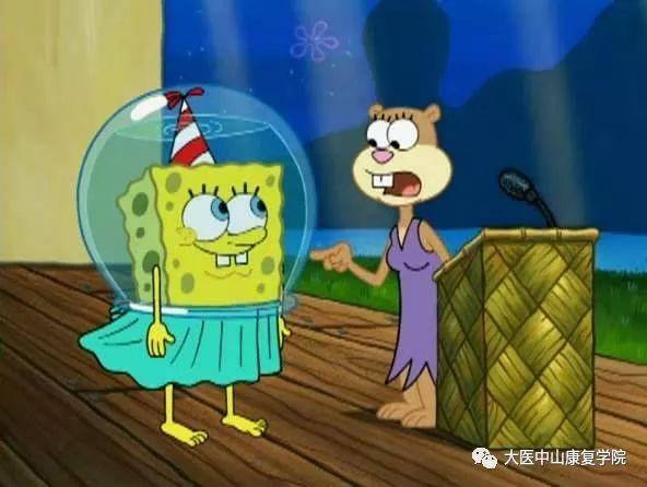 海绵宝宝喜欢捕捉水母,职业是the krusty krab里的头号厨师