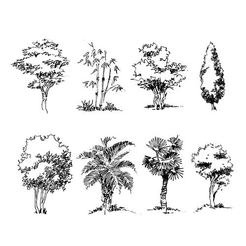 谭伯虎说画,教您钢笔画如何画树木