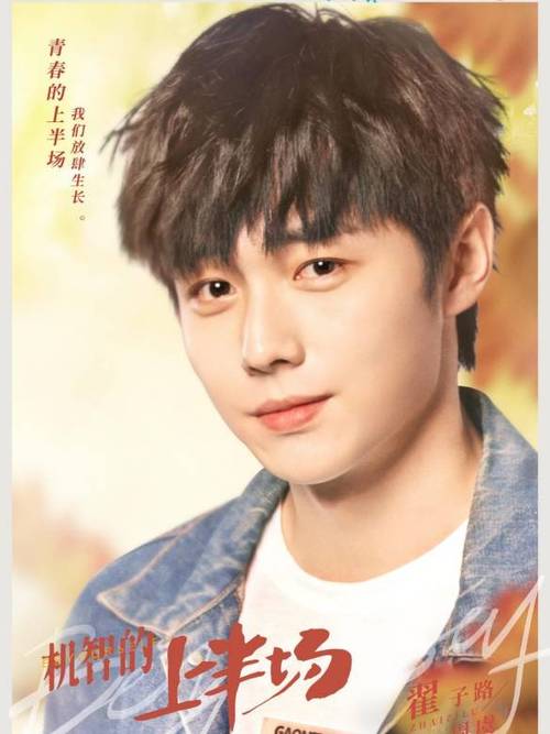 翟子路介绍:暂无演员介绍.