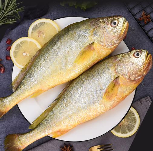 大黄花鱼新鲜冷冻3斤生鲜黄花鱼15kg整箱小黄花鱼黄鱼3条装www